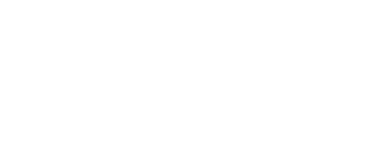 digibon