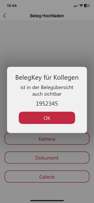 Anzeige des Beleg-Keys nach dem Einreichen eines Sammelbelegs